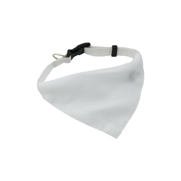 Collier pour chien personnalisé
