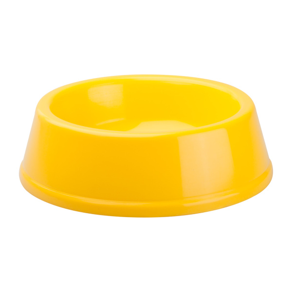 Gamelle pour chien personnalisée