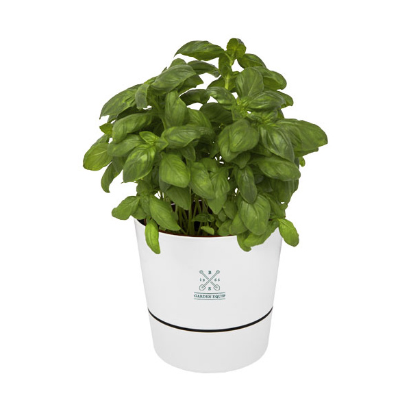 Pot de cuisine simple Herbs personnalisable
