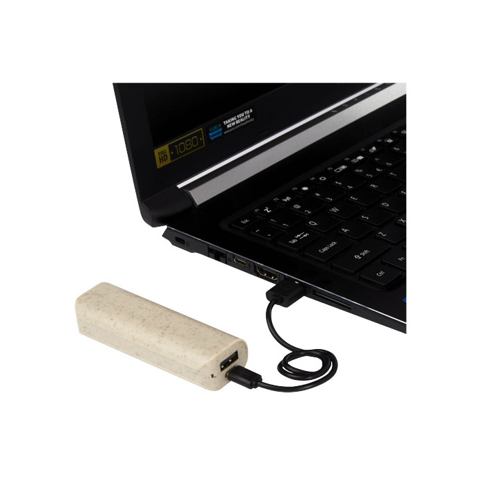 Batterie externe 1200 mAh en paille de blé