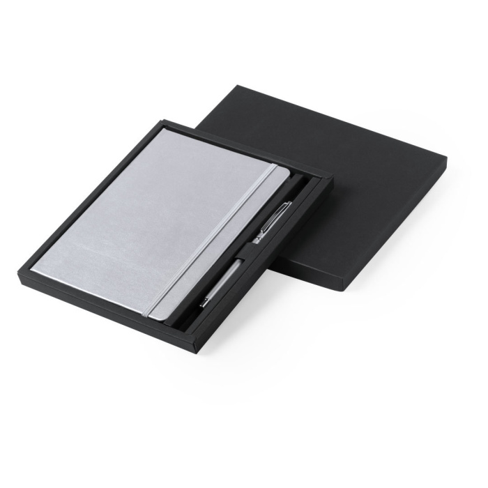Ensemble raffiné : carnet et stylo à la finition argentée