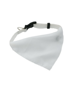 Collier pour chien personnalisé